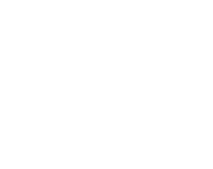 Presidio Partecipativo